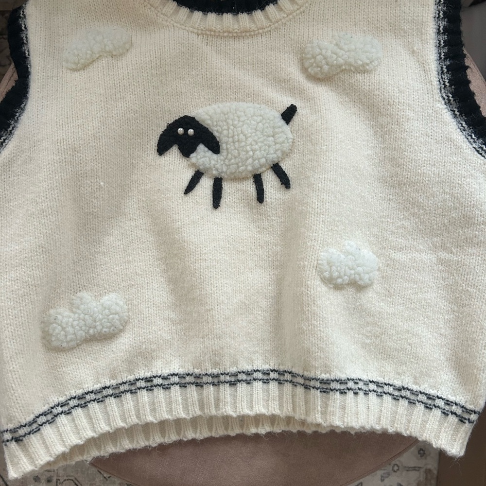 Cider Cream and Black Sheep Knit Top